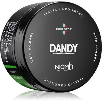 DANDY Water Pomade...