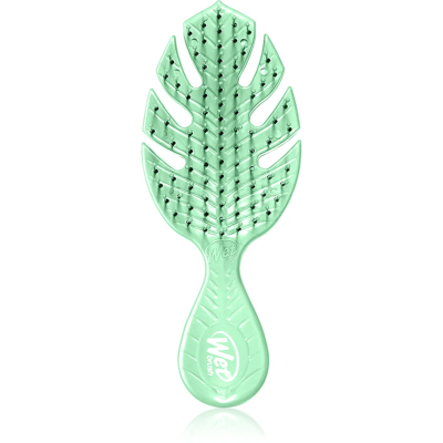 Wet Brush Go Green Mini